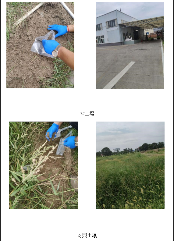 &#20964;&#20976;&#40;&#20013;&#22269;&#41;&#23448;&#26041;&#32593;&#31449;&#45;&#30331;&#24405;&#20837;&#21475;